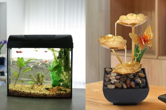 aquarium-or-fountain