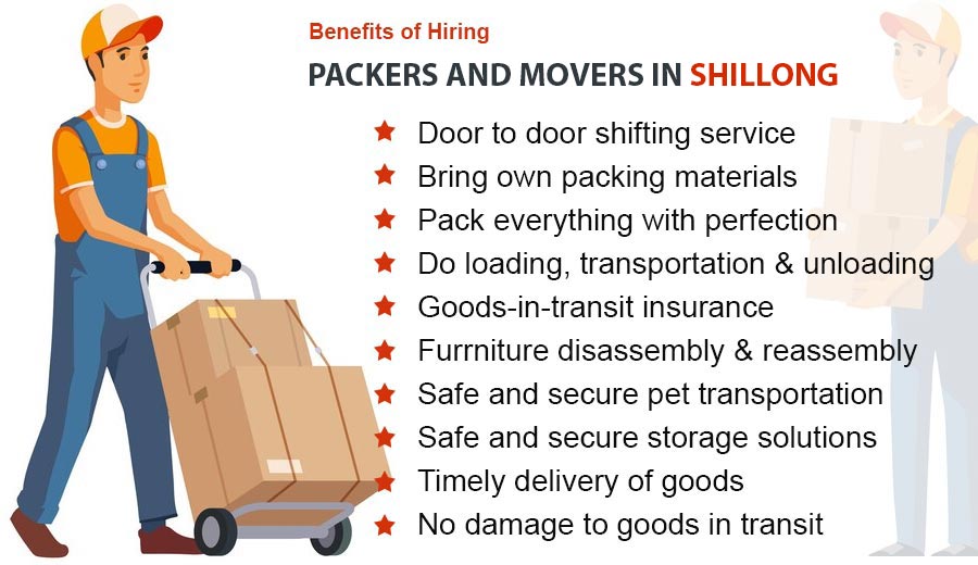 Benefits of movers in Shillong