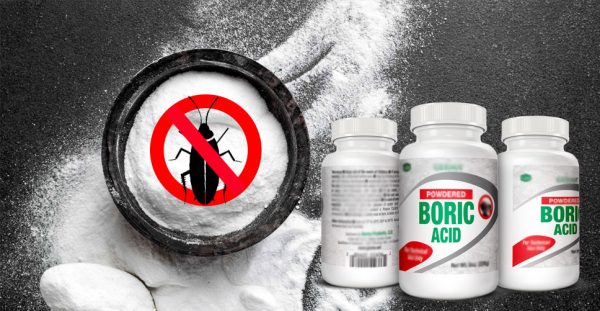 boric-acid-sugar-cockroach-bait