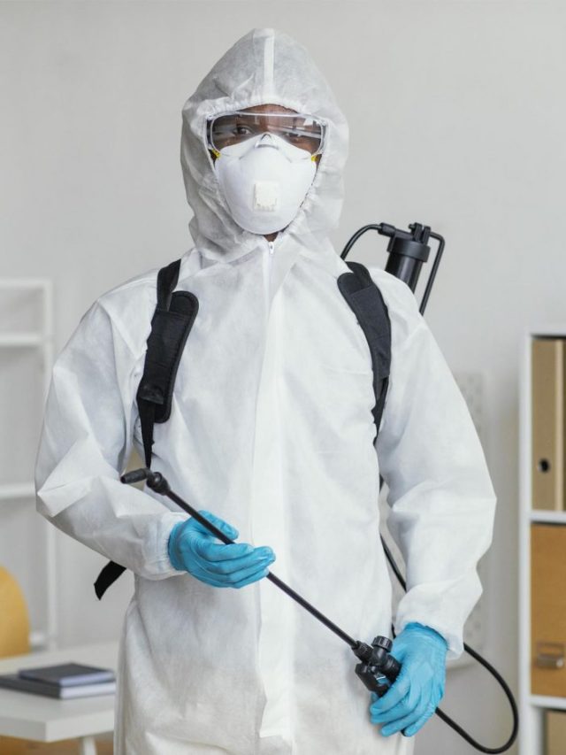 7 Benefits of Pest Control Services