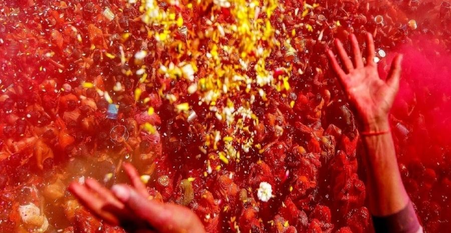 pholon-wali-holi-vrindavan