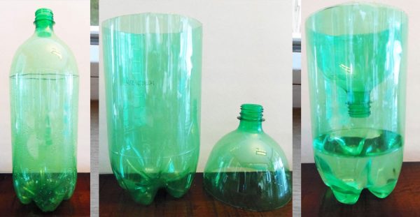 soda-bottle-roach-trap